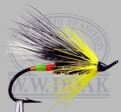 Will Taylor Special