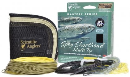 Mastery Spey Shorthead Multi Tip