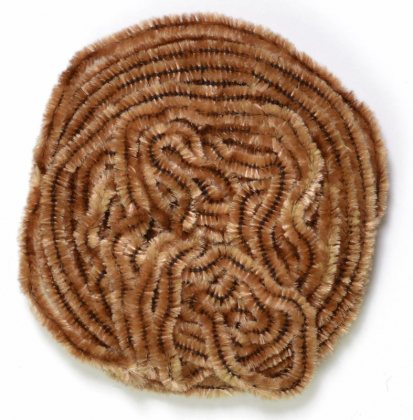 Danville Chenille<br>#429 - Coffee