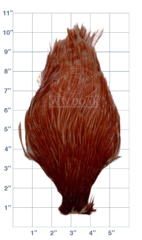 Chinese Cock Neck - Brown
