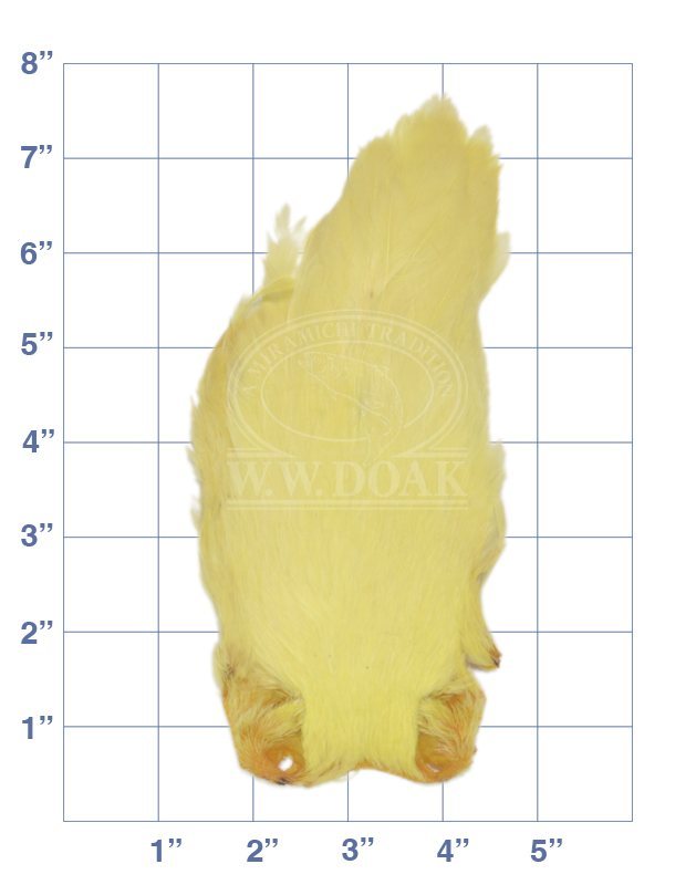 Hen Neck - Pale Yellow