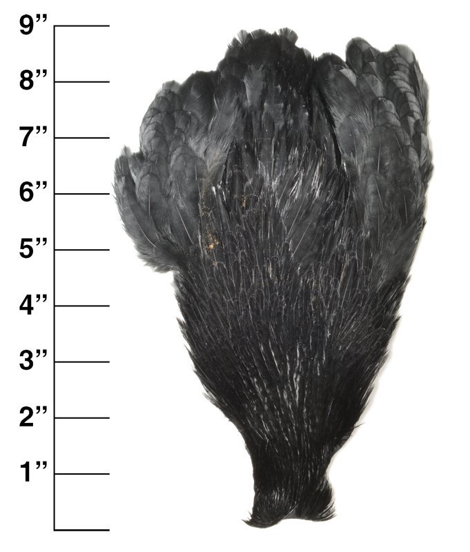 Premium Hen Neck - Dyed Black