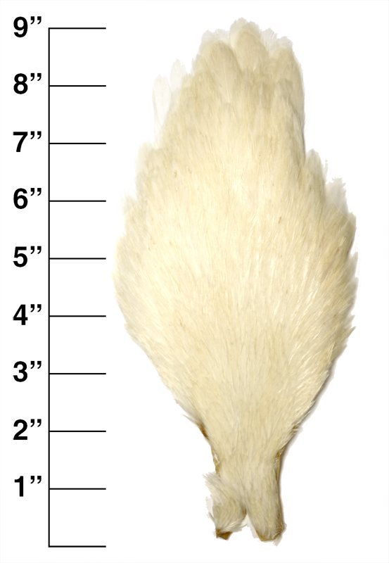 Premium Hen Neck - White