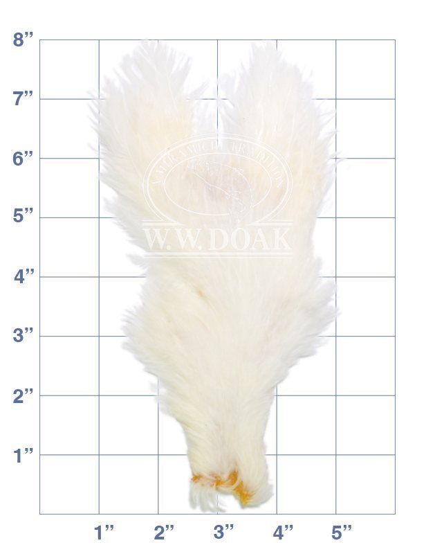 Hen Neck - White