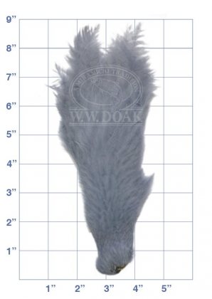 Hen Neck