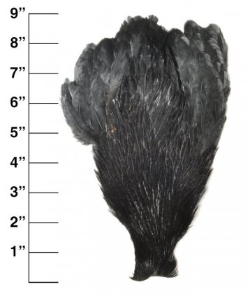 Premium<br>Hen Neck