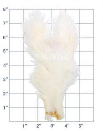 Hen Neck