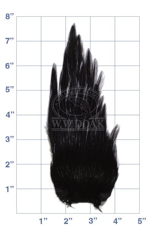 Indian Cock Neck - Grade 1 - Dyed Black