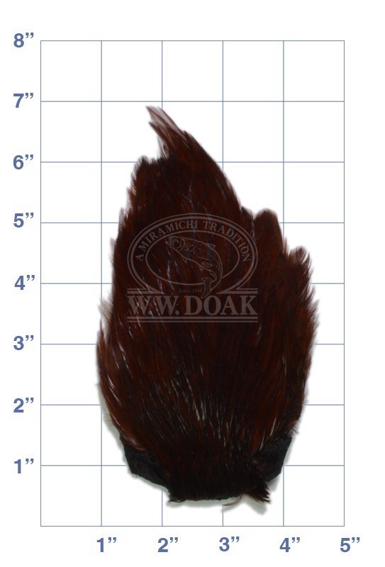 Indian Cock Neck - Grade 1 - Dyed Brown