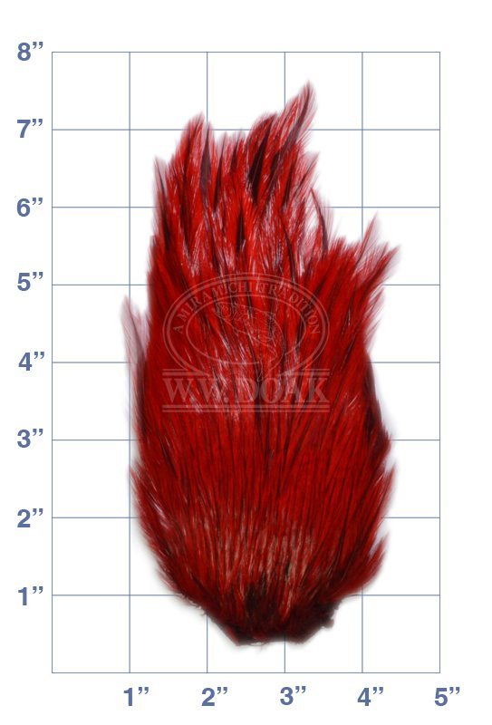Indian Cock Neck - Grade 1 - Red