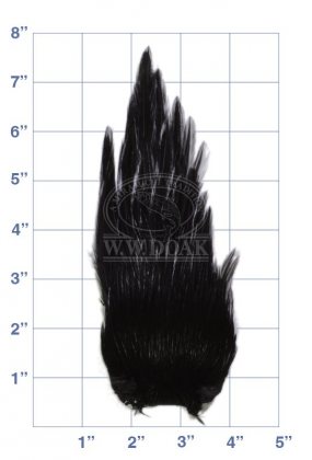 Indian Cock Neck