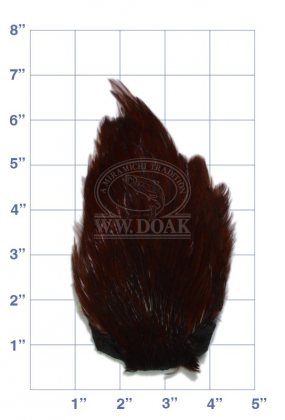Indian Cock Neck