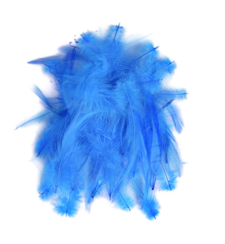 Loose Cock Neck Hackle - Doctor Blue