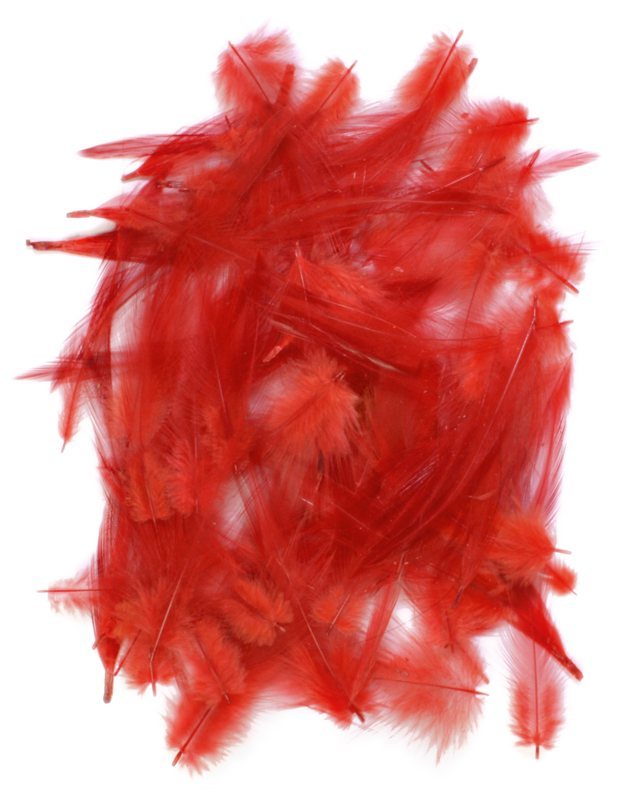 Loose Cock Neck Hackle - Red