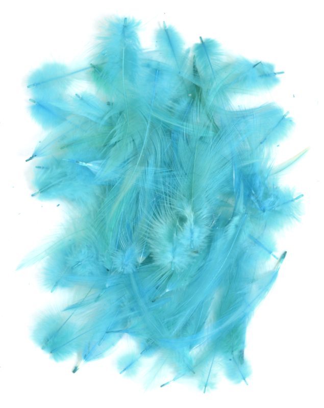 Loose Cock Neck Hackle - Teal and Silver Blue