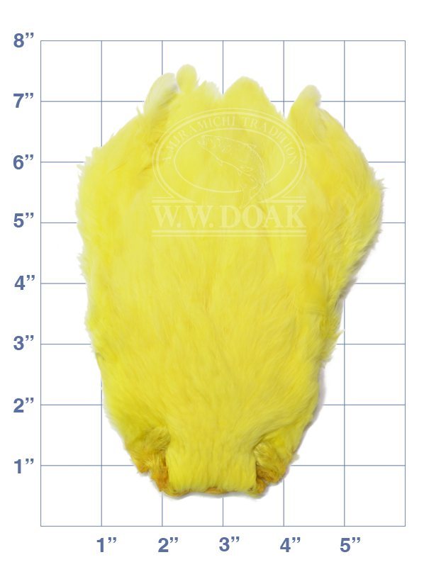 Salmon Fly Hen Neck - Toucan Yellow