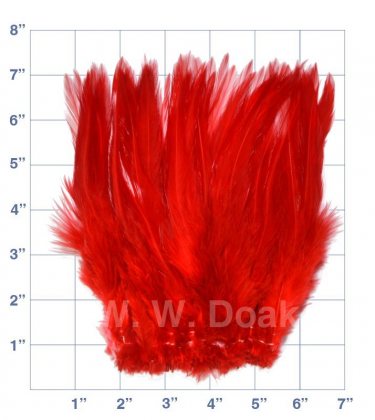 Strung Cock Saddle<br>Hackle 6" - 8"