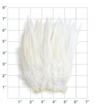 Strung Cock Saddle<br>Hackle 6" - 8"