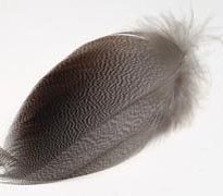 Bronze Mallard Flank - Medium
