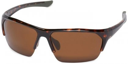 Ranger Sunglasses