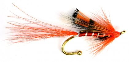 Ally's Shrimp Brooch