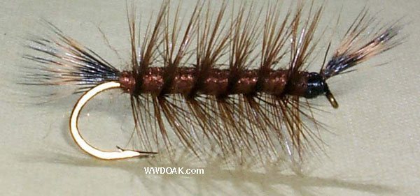 Whiskers - Brown Body - #6